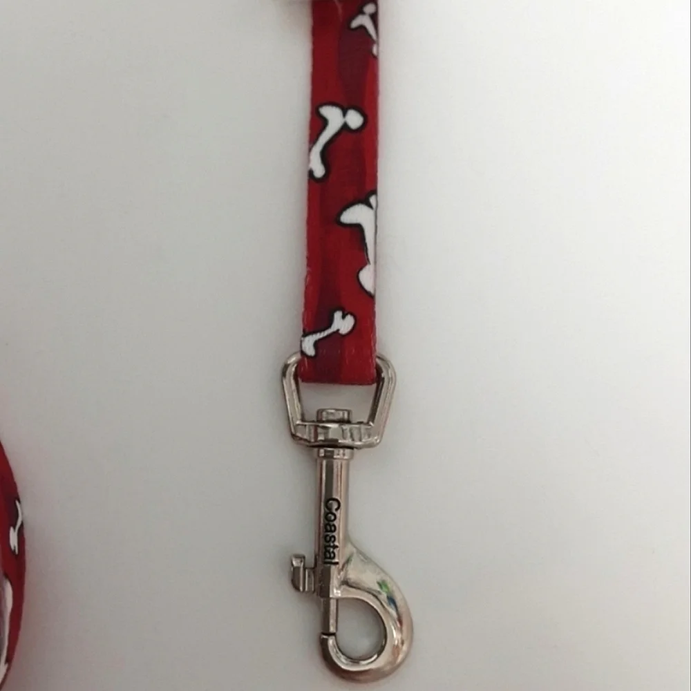 New Dog Collar and Leash Set